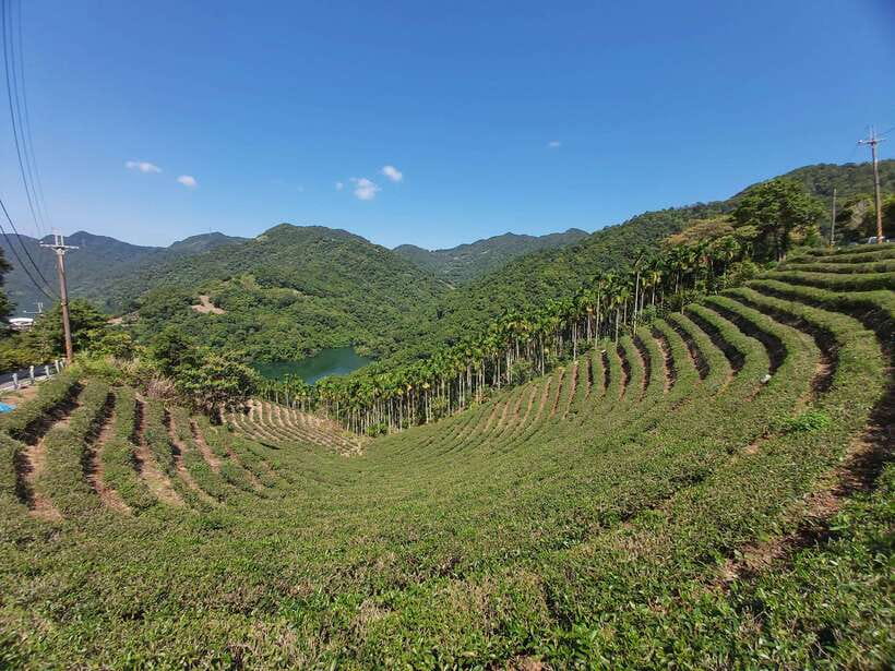 From Taipei: Thousand Island Lake and Pinglin Tea Plantation - Key things I’d circle on your plan