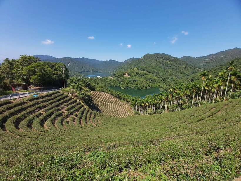 From Taipei: Thousand Island Lake and Pinglin Tea Plantation - Pinglin Old Street and Tea Ceremony Finish