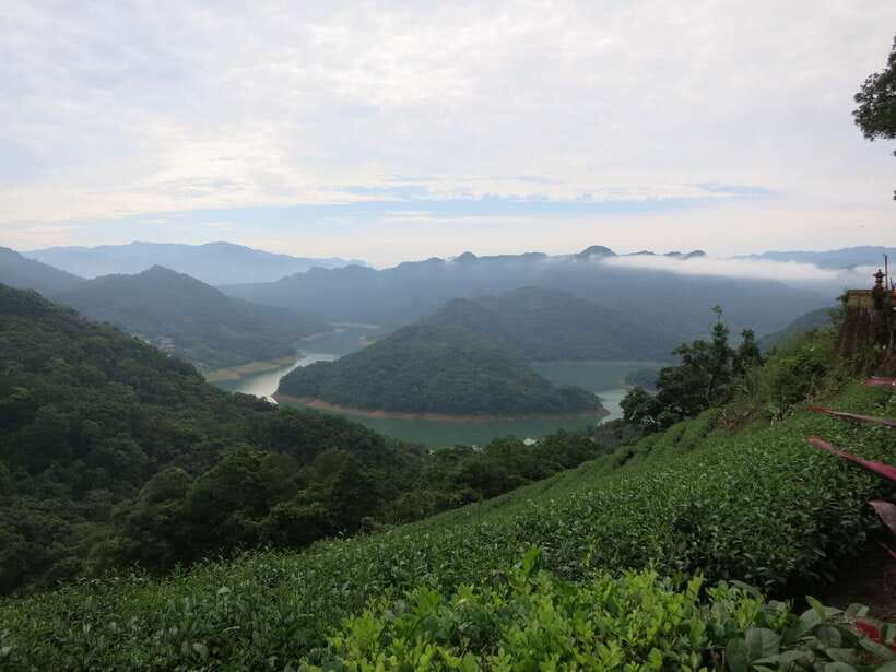 From Taipei: Thousand Island Lake and Pinglin Tea Plantation - Price and Value: What You’re Really Paying For at About $40