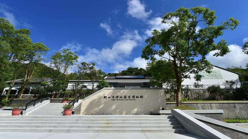 From Taipei: Thousand-Island Lake & Tea Museum Private Tour - Bagua Tea Plantation: where the tea smell does the talking