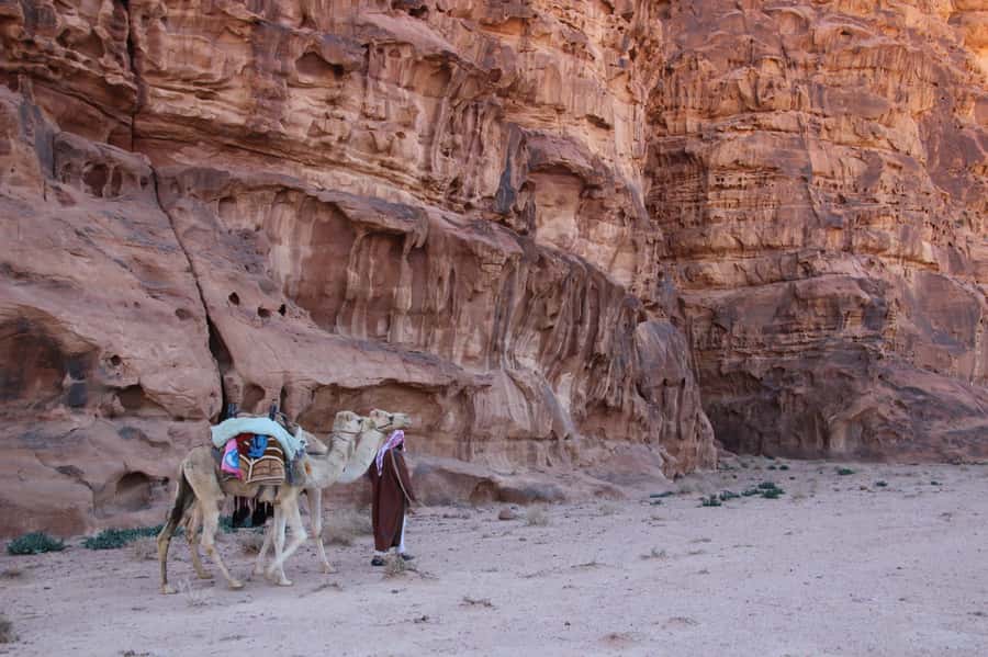 From Wadi Rum: Camel Ride Experience with Tea and Guide - Key moments you’ll care about