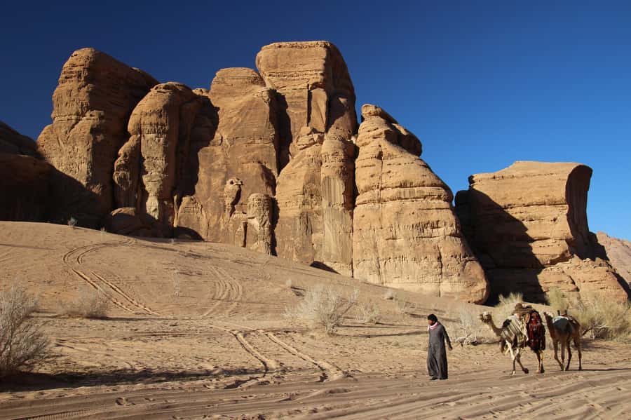 From Wadi Rum: Camel Ride Experience with Tea and Guide - Briefing and camel handling: how to make this go smoothly
