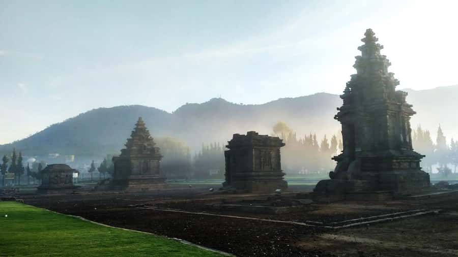 From Yogyakarta: Dieng Tour, Golden Sunrise & Tea Plantation - Midnight pickup to Dieng Plateau: the timing that matters