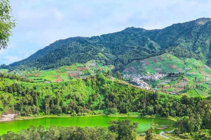 Full-Day Adventure: Tea Plantation & the Mystical Dieng Plateau - Tea Gardens at Sikatok: your gentle start before Dieng