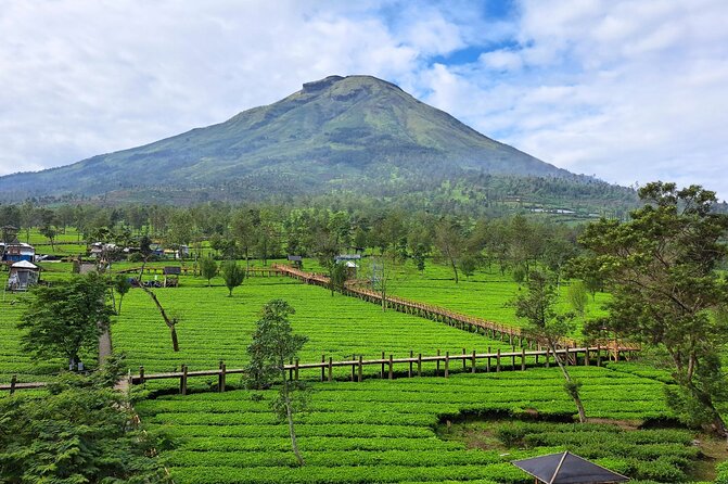 Full-Day Adventure: Tea Plantation & the Mystical Dieng Plateau - Price and value: is $68 worth a full plateau day?