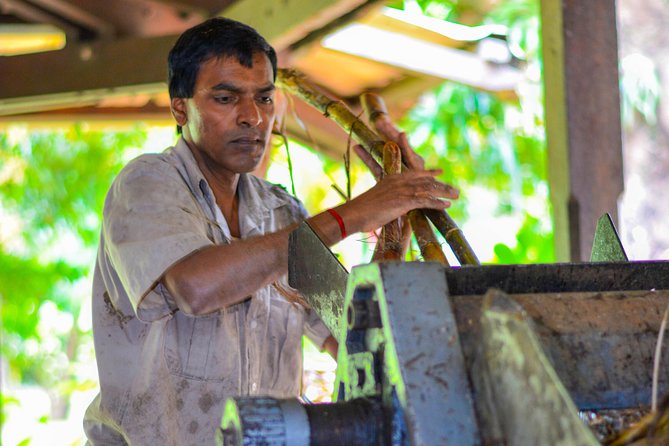 Full Day Guided Tea Route Mauritius: Including Lunch - A full day from Grand Baie: how the 8 hours are paced