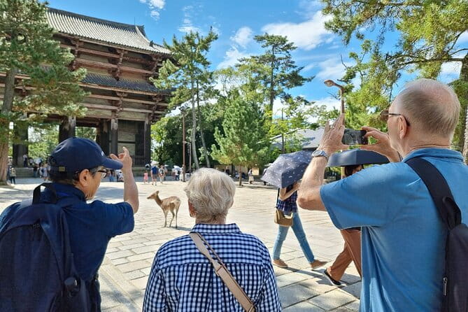 Full Day Nara Deer, Temple, Shrine, Activities & Tea Ceremony - Kikuichi Knife Maker Stop: Japanese Cutlery for the Curious (Not Just Nerds)