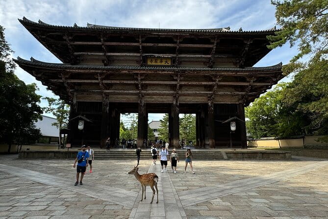 Full Day Nara Deer, Temple, Shrine, Activities & Tea Ceremony - Nara Visitor Center & Inn: Origami, Calligraphy, and Optional Photo Fun