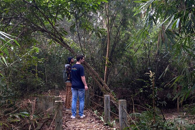 Full Day Sreemangal Tea Garden & National Park Hiking Tour - Tea gardens in Sreemangal: where the views do the talking