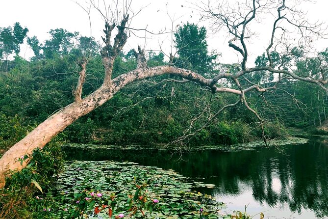 Full Day Sreemangal Tea Garden & National Park Hiking Tour - Getting the timing right: what the schedule means for your day