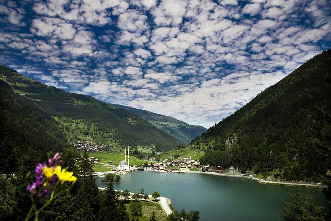 Full Day Tour In Uzungol Lake with Turkish Tea Tasting - The day’s route: a smooth bus loop from tea to Uzungol