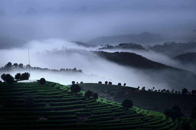 Full-day Tour: Spectacular Sunrise, Tea Plantation & Sunset - What to wear and bring so the day feels smooth