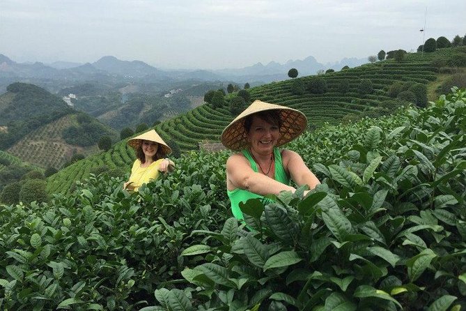 Full-day Tour: Spectacular Sunrise, Tea Plantation & Sunset - Weather, route changes, and what happens if things go sideways