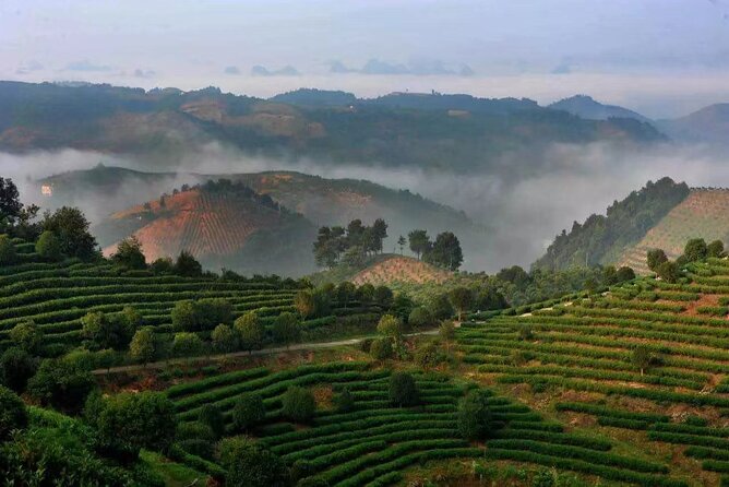Full-day Tour: Spectacular Sunrise, Tea Plantation & Sunset - Who this Yangshuo sunrise-tea-sunset tour suits best