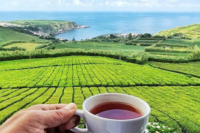 Furnas in a Private Evening - Tea, Cozido Dinner and Hot Springs - Optional add-on: Poça da D. Beija hot springs (tickets not included)