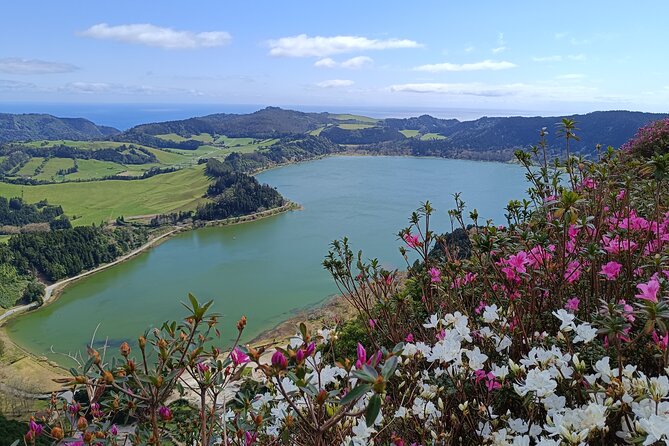 Furnas Vale, Gorreana Tea Factory Private Van Tour - Why This Private Van Day Works So Well on São Miguel