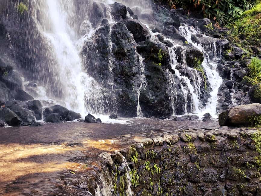 Furnas: Volcano Crater, Lake, Tea Plantation, and Waterfall - Quick hits you’ll care about