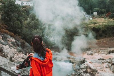 Furnas Volcano, Lake, Geysers, Tea Plantation and Terra Nostra - Cha Gorreana tea plantation: tasting, factory time, and a walk with a point