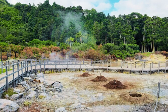 Furnas : Volcano Wonders, Tea Plantation & Waterfall Tour - Why this day trip hits the São Miguel sweet spot