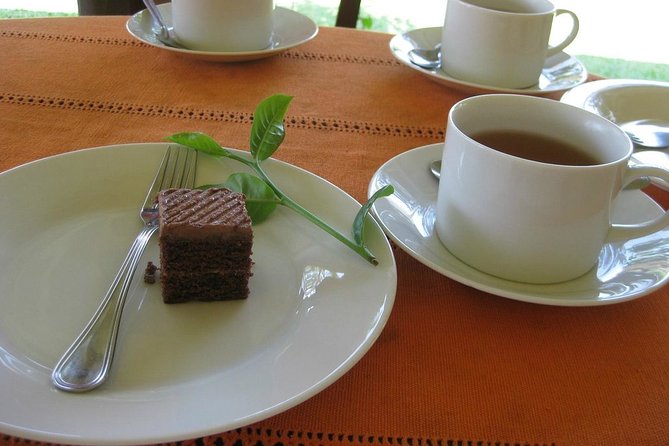 Galle Day Tour and Tea Plantation from Bentota & Other Places - Habaraduwa Sea Turtle Hatchery: conservation you can see