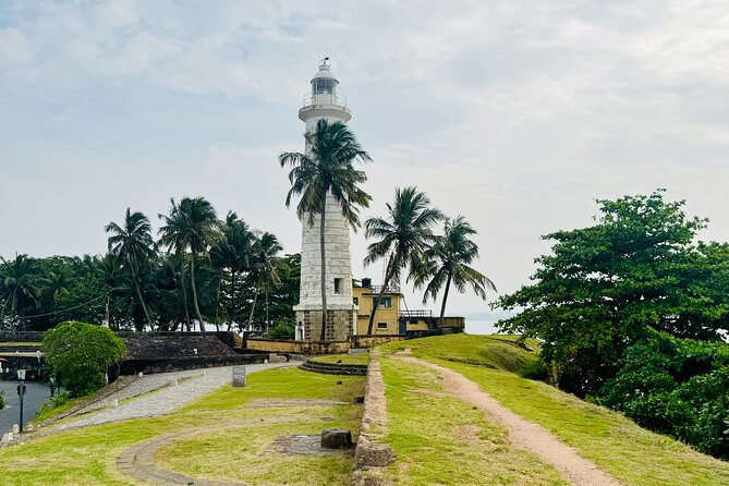 Galle Day Tour and Tea Plantation from Bentota & Other Places - Handunugoda Tea Estate: white tea in the coastal belt