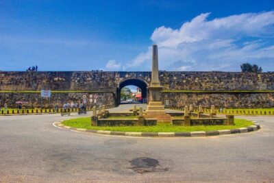 Galle Day Tour with River Safari, Tea Plantation & Sea Turtle - Bentota River Safari in Mangroves: What You Can Spot