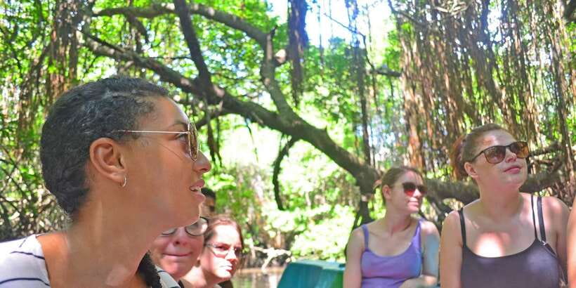 Galle Day Trip with River Safari, Sea Turtles & Tea Factory - Bentota River Safari Through Mangroves: Where Crocs and Birds Steal the Show