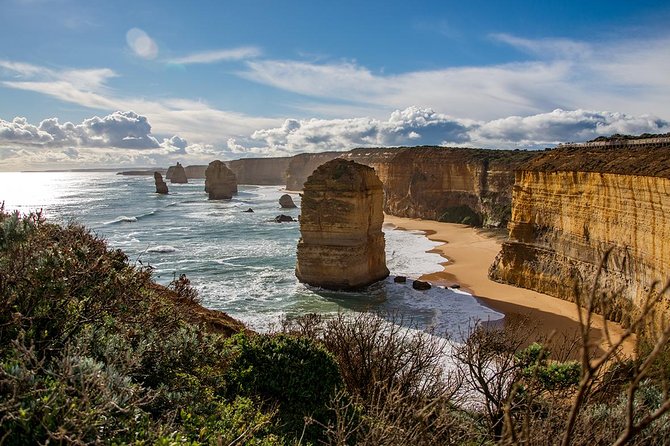 Great Ocean Road, 12 Apostles, Rainforest & Morning Tea-Melbourne - Great Otway National Park: the rainforest stop you’ll actually remember
