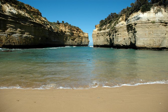 Great Ocean Road Tour Plus Koalas, Forest Walk and Morning Tea - Price and what you get for €82.29 (and what costs extra)