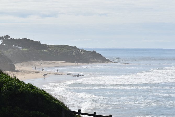 Great Ocean Road Tour Plus Koalas, Forest Walk and Morning Tea - Loch Ard Gorge: ground-level rocks and the rolling-sea effect