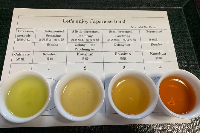 Guided Bike Tour to a Green Tea Farm in Shizuoka (not e-bikes) - What I think is especially good about this tour