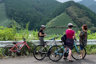 Guided Bike Tour to a Green Tea Farm in Shizuoka (not e-bikes) - Your bike, your guide, and the first minutes that matter