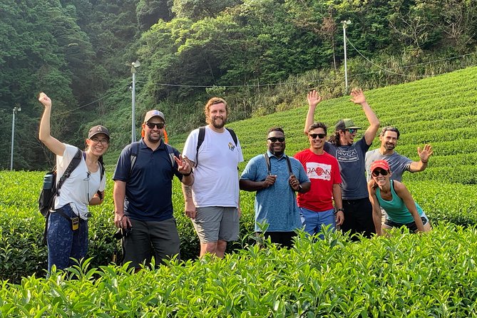 Guided Bike Tour to a Green Tea Farm in Shizuoka (not e-bikes) - At the farm: photos, farmer explanations, and a 150-year-old house