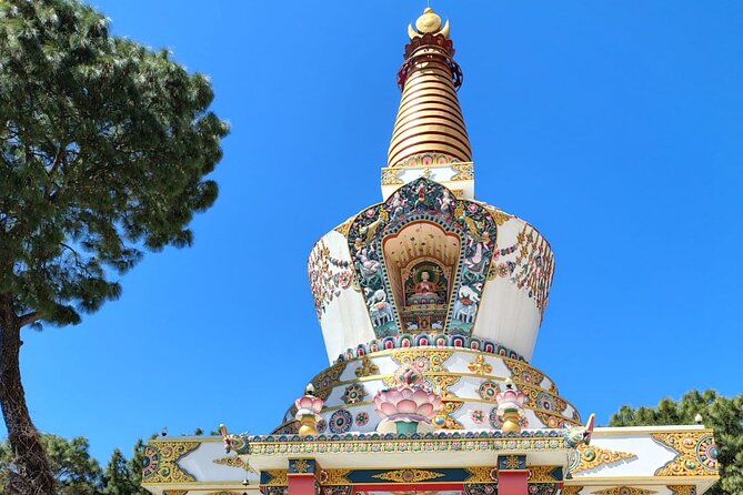Guided Day Tour to Bir – Monasteries,Temple & Tea Garden Visit - Passing Bir’s paragliding landing site: the view shift that changes the tone