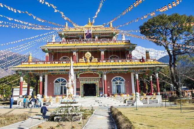 Guided Tour to Palampur-Monasteries, Temple & Tea Gardens visit - Key things to know before you go