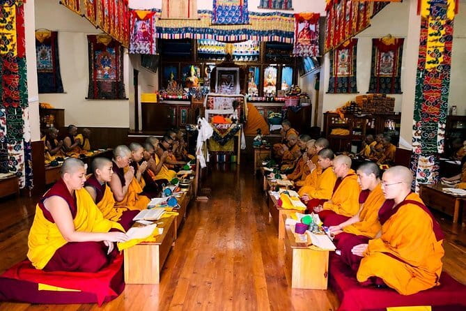 Guided Tour to Palampur-Monasteries, Temple & Tea Gardens visit - Who should book this (and who might not love it)