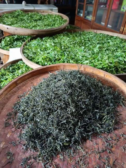 Guilin: City Tour with Elephant Hill & Ming Tea Tasting - Yao Mountain tea plantation: Ming royal tea garden in everyday steps