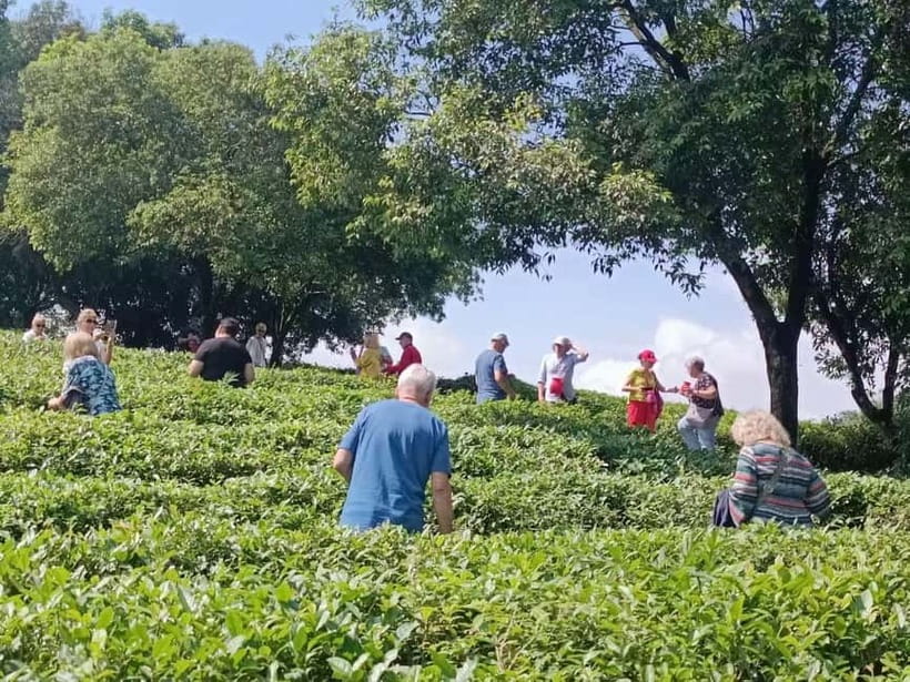 Guilin: City Tour with Elephant Hill & Ming Tea Tasting - Elephant Trunk Hill: more than a postcard riverside view