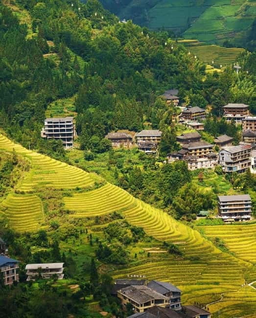 Guilin Longji: Rice Terrace with Oil-Tea Demo & Zhuang Lunch - Longji Terraces + Zhuang Culture in One Calm, Full Day