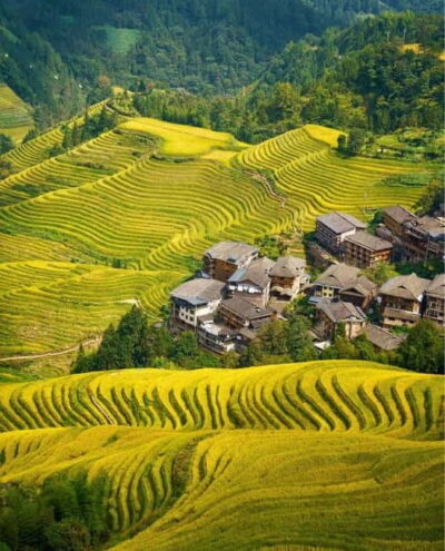 Guilin Longji: Rice Terrace with Oil-Tea Demo & Zhuang Lunch - Getting to Longsheng County: The Mountain Drive You Can Actually Enjoy