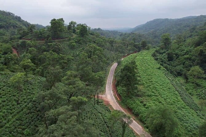 Guwahati Tea Garden tour @ Amchong - Getting to Amchong Tea Estate from Guwahati without making a whole day of it