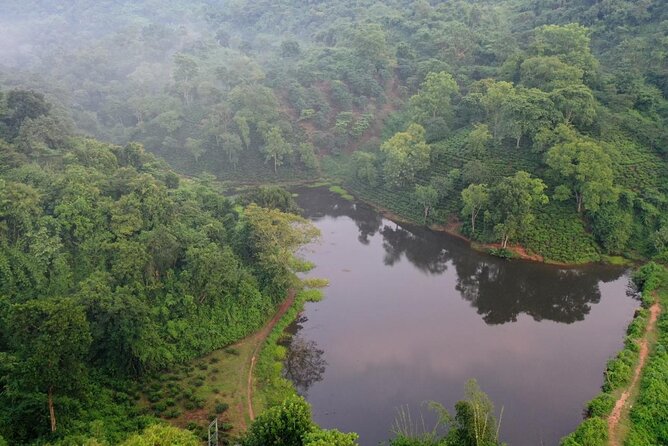 Guwahati Tea Garden Tour with Lunch & Hi Tea (Premium Experience) - Where This Tour Fits in Your Guwahati Trip