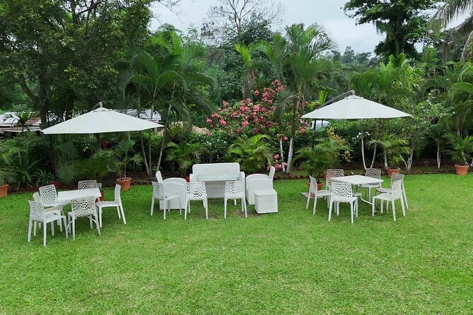Guwahati Tea Garden Tour with Lunch & Hi Tea (Premium Experience) - What the Price Really Buys (and What It Doesn’t)