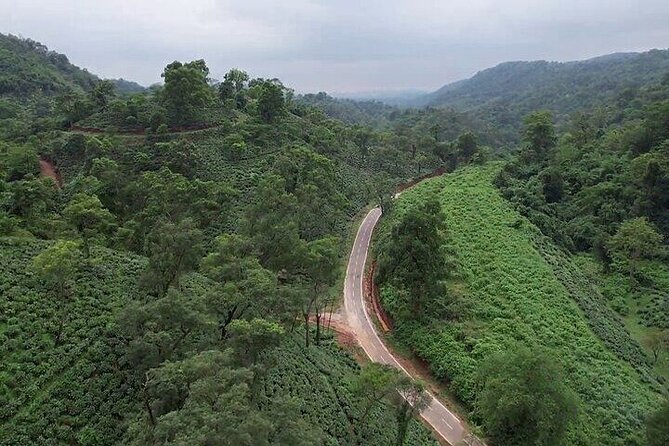 Guwahati Tea Garden Tour with Lunch & Hi Tea (Premium Experience) - Arrival at Amchong Tea Estate: Welcome Drinks and a Bumpy-But-Fun Ride