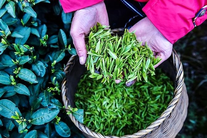 Half-Day Hangzhou Private Tour with Green Tea Village and Lingyin Temple - Why Feilai Peak is worth your first stop