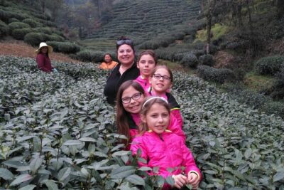 Half-Day Hangzhou Private Tour with Green Tea Village and Lingyin Temple - Lingyin Temple: active worship, not just sightseeing