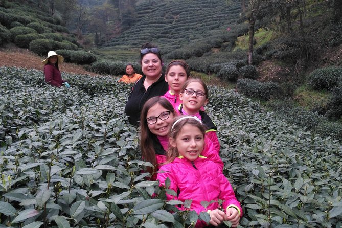 Half-Day Hangzhou Private Tour with Green Tea Village and Lingyin Temple - Lingyin Temple: active worship, not just sightseeing