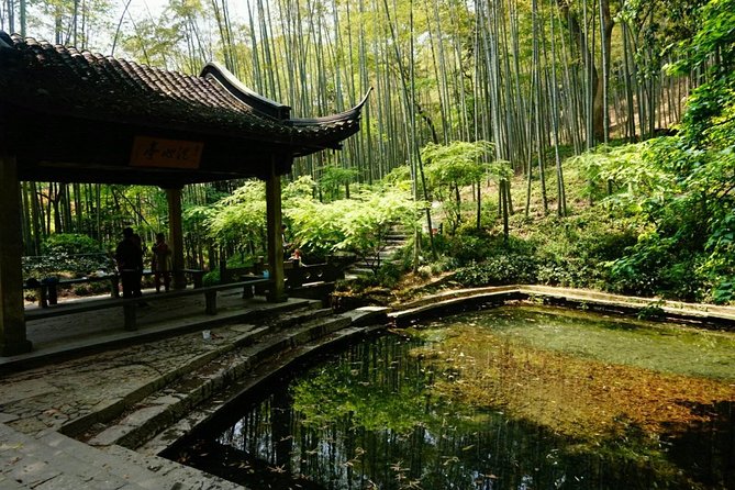 Half-Day Hangzhou Yunxi Bamboo Forest and Tea Plantation Experience - Key things that make this half-day feel worth it