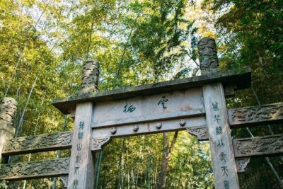 Half-Day Hangzhou Yunxi Bamboo Forest and Tea Plantation Experience - Longjing tea fields: walking among the plants instead of just watching