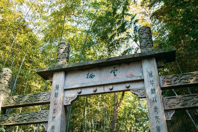 Half-Day Hangzhou Yunxi Bamboo Forest and Tea Plantation Experience - Longjing tea fields: walking among the plants instead of just watching